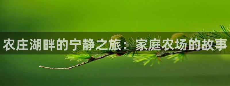 摩根大通投资娱乐公司
