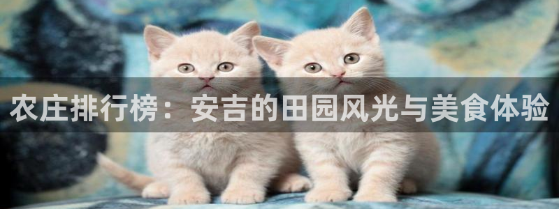义乌摩根娱乐会所价格