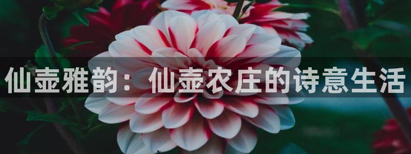 摩根娱乐会所招少爷么