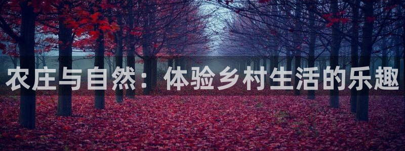 厦门摩根会娱乐