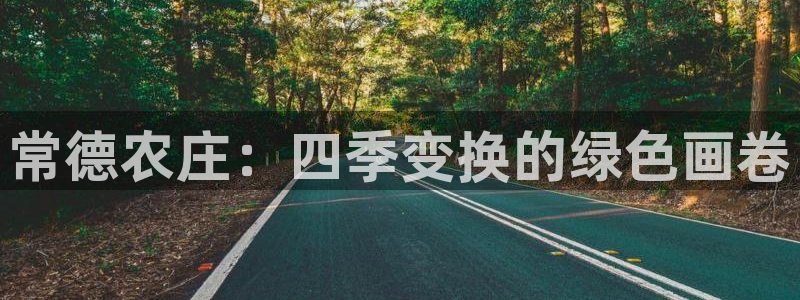 华视娱乐 摩根 王琛
