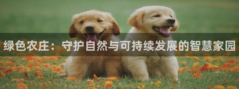 摩根会娱乐有限公司