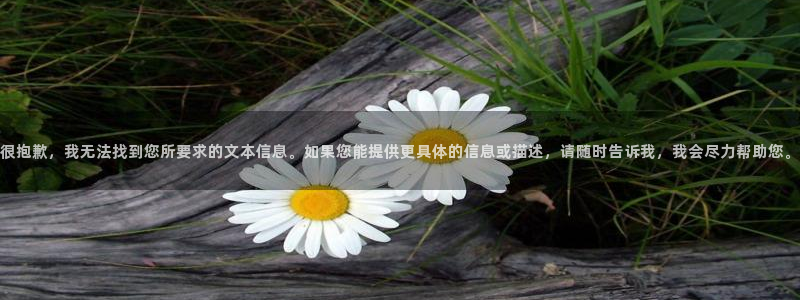 摩根娱乐百家号