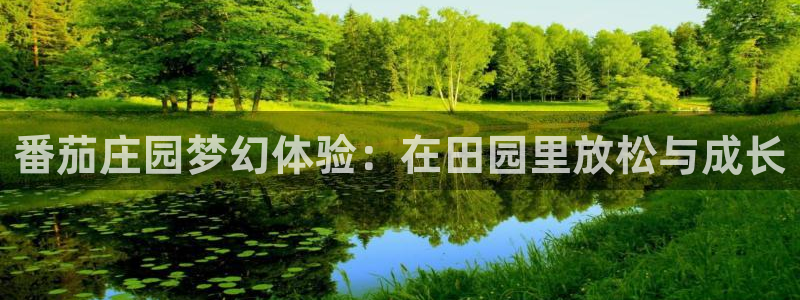 摩根娱乐云挂机项目怎么下载