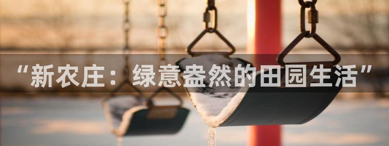 摩根娱乐外汇