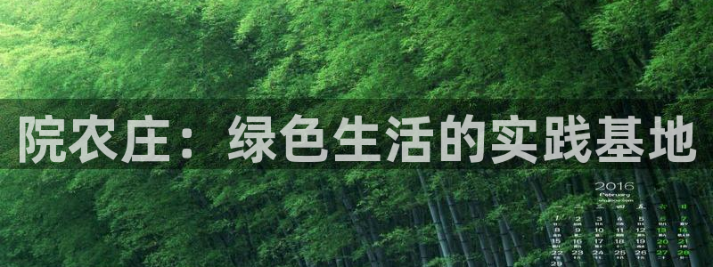 娱乐解说摩根