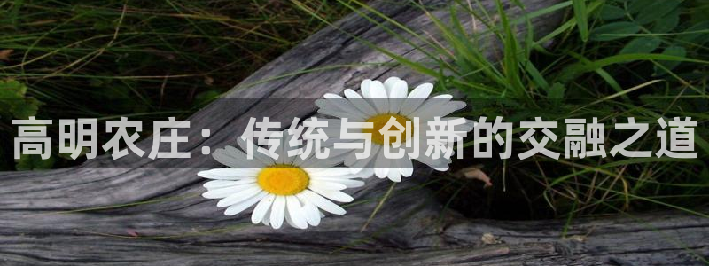 摩根娱乐挂机项目是什么