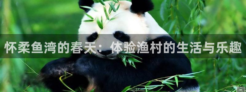 泉州摩根会娱乐保安公司