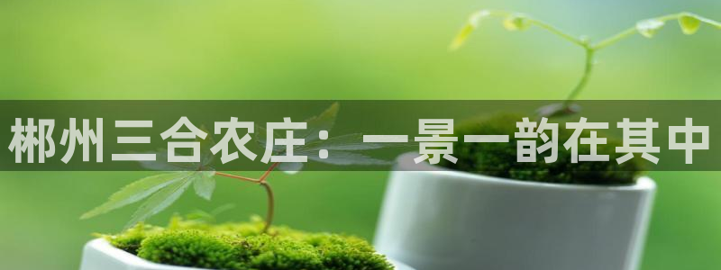 泉州摩根娱乐会所