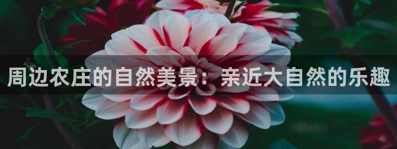 摩根娱乐宝可信吗