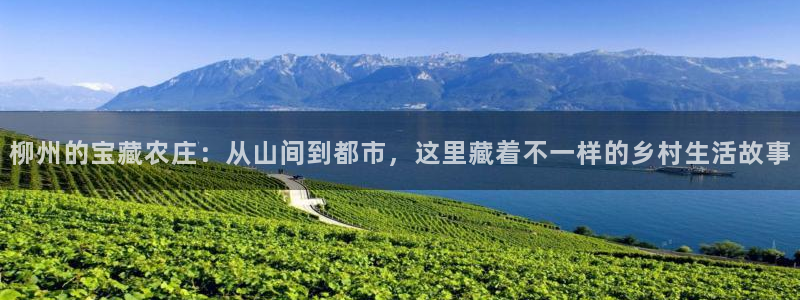 义乌摩根娱乐会所老板