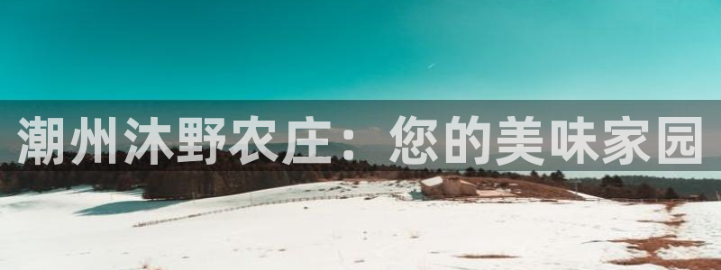 摩根士丹利凯撒娱乐