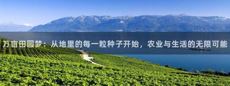 摩根说娱乐
