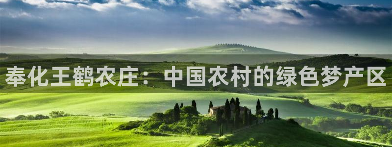 摩根娱乐L老L板50820