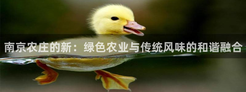 义乌市摩根娱乐会所招聘