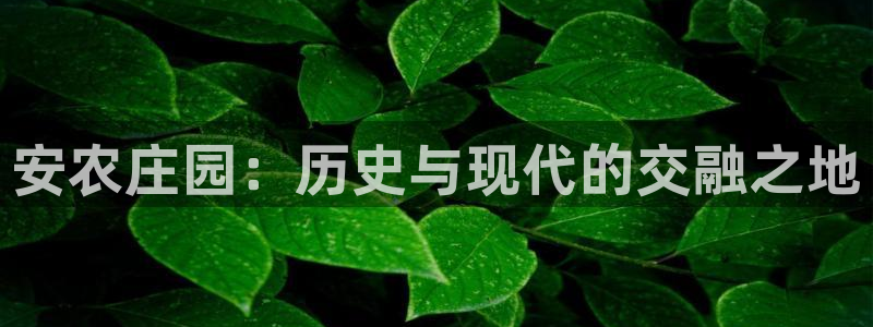 摩根娱乐代理
