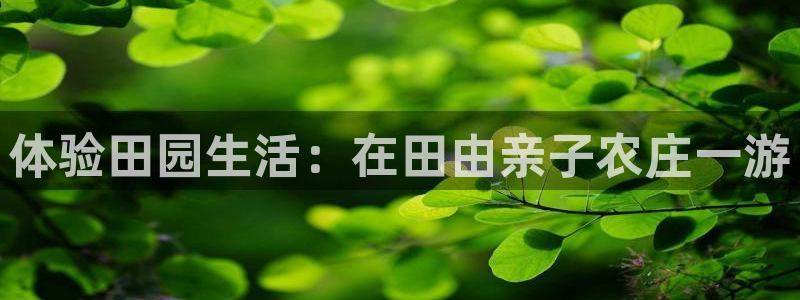 摩根娱乐宝使用操作