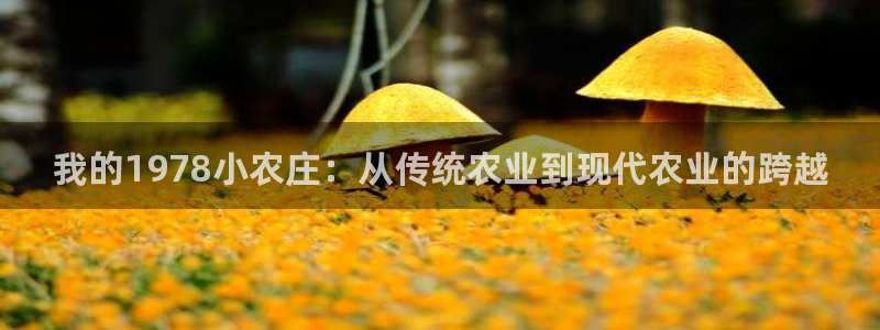 摩根娱乐宝收益怎么样