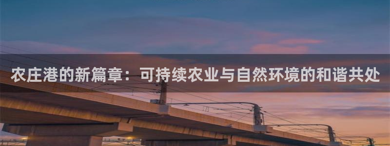 摩根娱乐视频大全