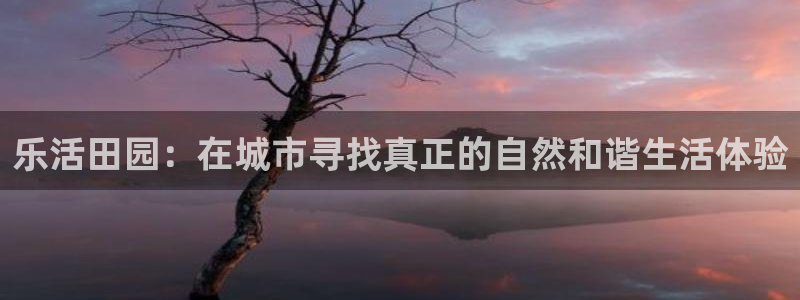 白宫摩根娱乐场所