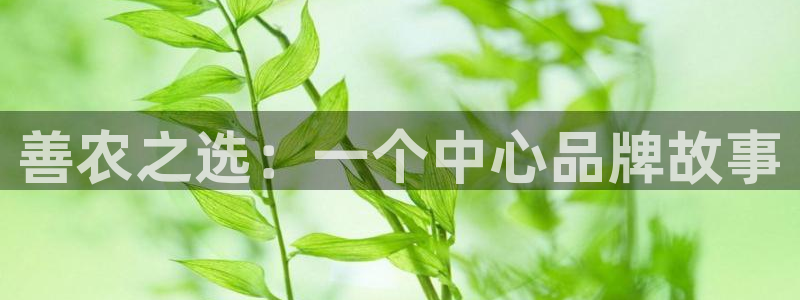 摩根娱乐宝平台下载
