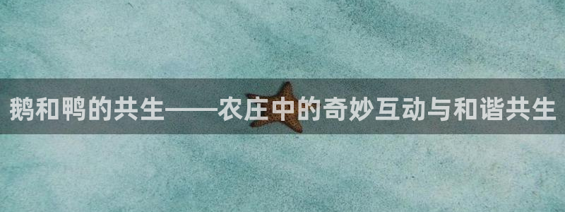 芜湖摩根一百有哪些娱乐