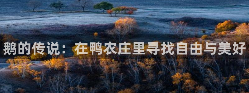 摩根娱乐宝怎么盈利