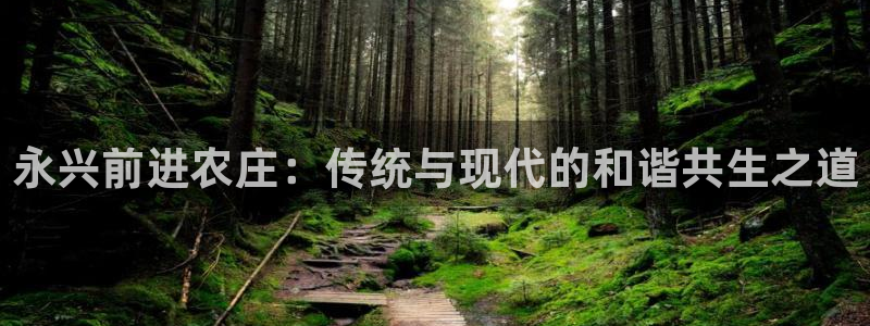 摩根娱乐50186夂