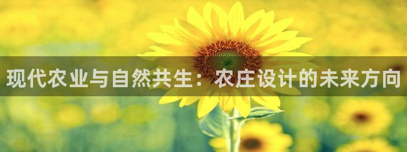 摩根娱乐宝打不开