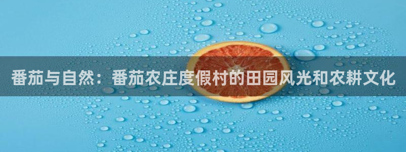 临平摩根娱乐会所电话