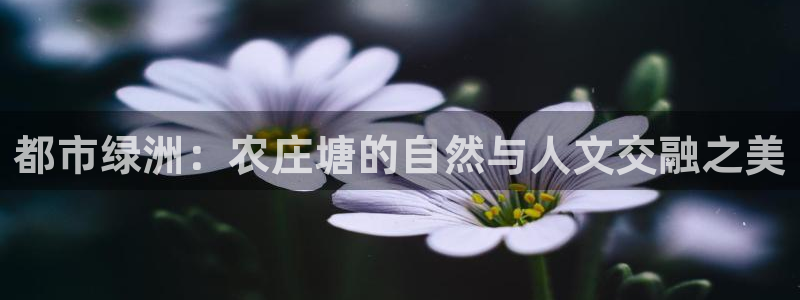 浙江义乌摩根娱乐场所