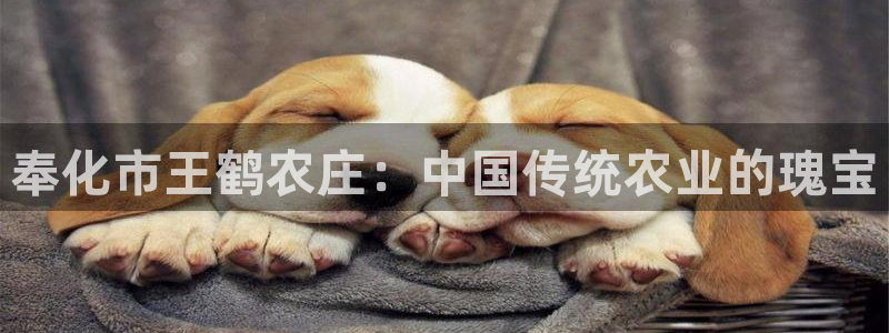 摩根娱乐垫付任务靠谱吗