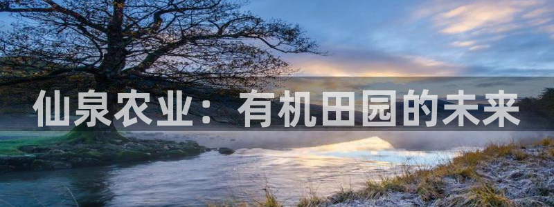 摩根360休闲娱乐
