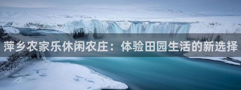 娱乐解说摩根