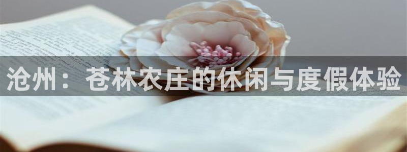 摩根娱乐宝骗了多少人