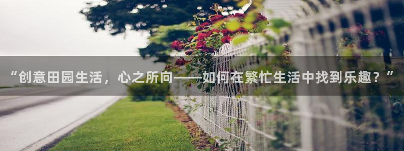 摩根娱乐宝怎么玩