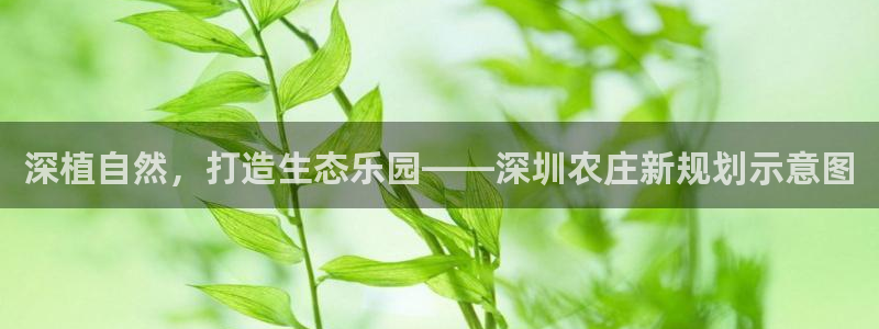 摩根娱乐 总s管50015