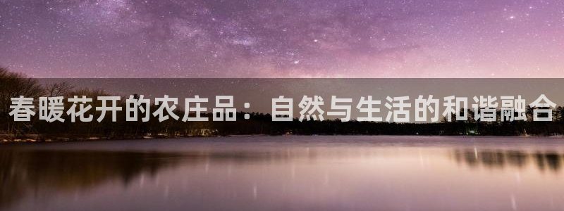 奥飞娱乐摩根调研