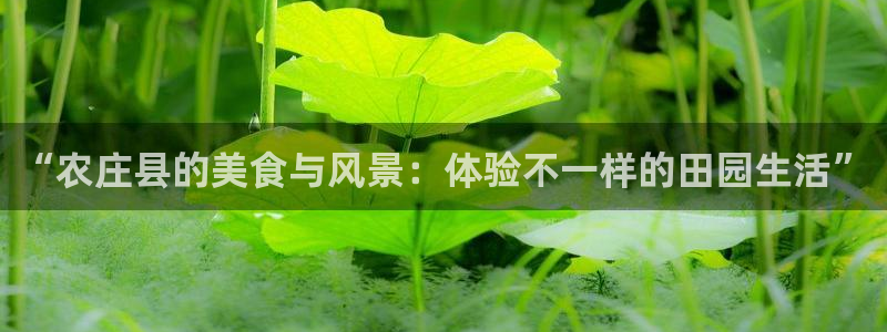 摩根娱乐宝平台下载