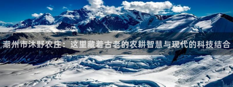 主角是摩根家族的娱乐文