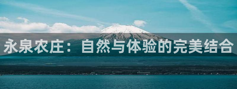 摩根娱乐50186叩杨