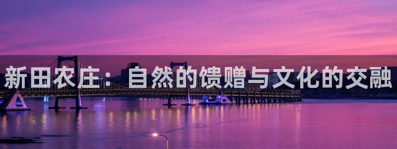 摩根娱乐50186夂